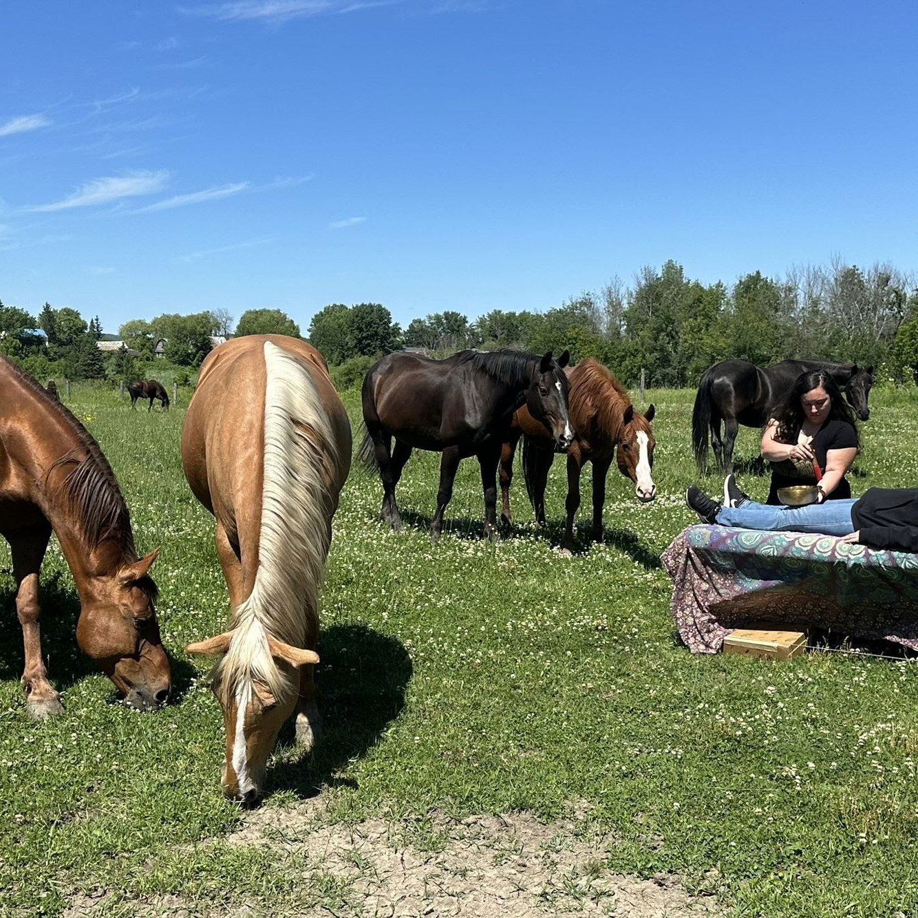 photo-accueil-mon-etre-mon-equilibre-daniele-monast
